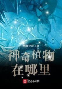 超神学院之最强火影