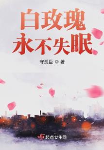 王爷的心酸：夫人慢点跑