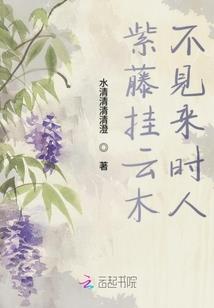 我的主角我做主