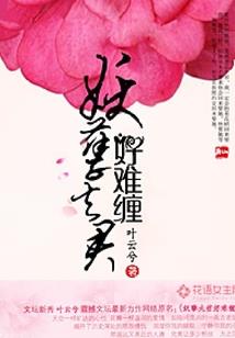 凤与狐