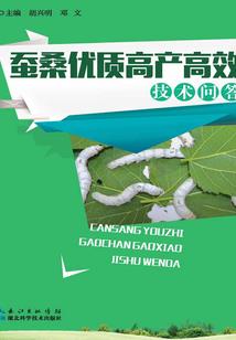 雪夜里的星辰