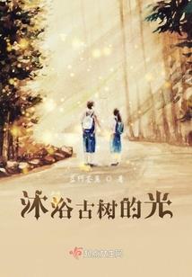 迷途者的次元旅行