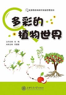 秘案迷踪