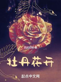 混迹末世的淘宝商人