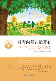 王者荣耀之穿越王者