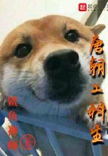 总裁的人造妻