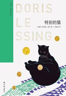 青春的那点事