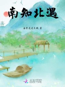 海贼王之海军凤凰