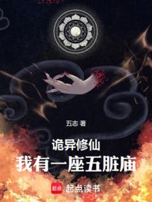 飞扬明星梦