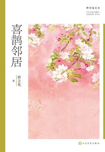 总裁的倾城恋人