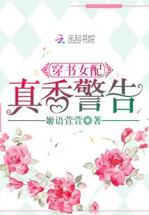 婢女攻略