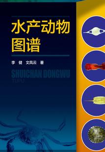浮萍半世