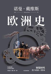 爱你虽我不言