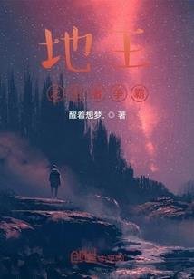 匆忙那年