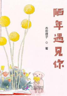 网游之星主养成