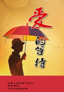 明星从了吧