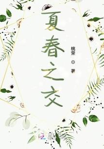 薰衣草花物语