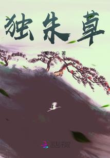 仙判之路