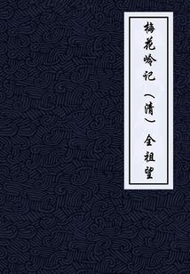 海贼王之恶徒