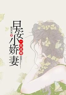 漫天烛火尽流年