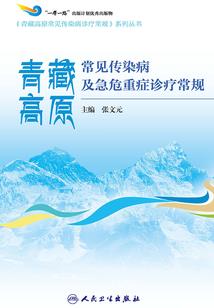 琥珀之界