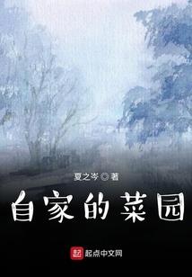 覆明灭清：华夏崛起