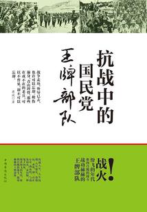 宝藏密码之寻访石达开宝藏