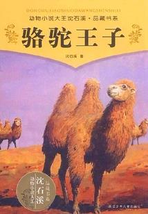 冲妄