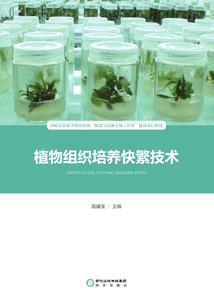 两小无猜之人鱼眼泪
