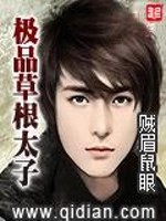 独裁抢爱：小魔女不好惹