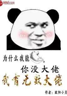 我的英雄学院之偷星