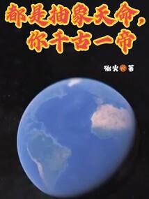 长安落雪飞