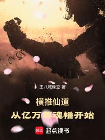 不二臣：冷酷将军霸道妃