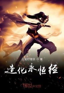 神奇宝贝之魔羽乾坤