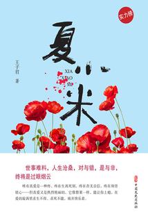 神秘小猫