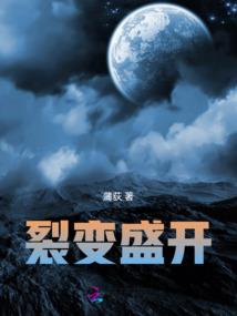 宠物小精灵之天羽