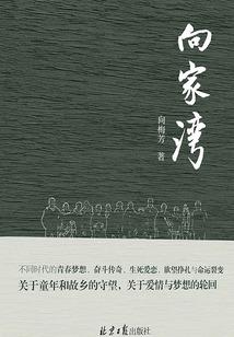 穹海谜云之黄金占婆国