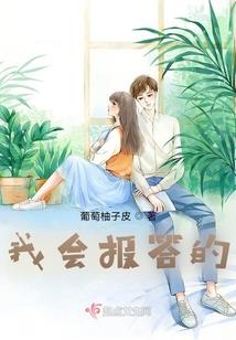 海贼：模拟之心