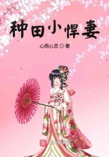 风起云集话两宋