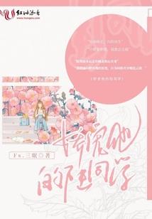 清穿之四爷皇妃