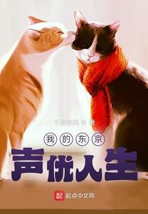 零点四八米的距离