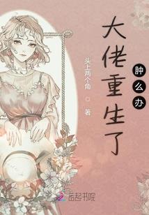 小程的树洞