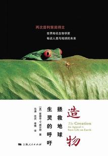 一场独特的spa之旅