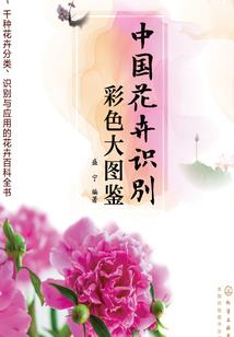 朝落传奇