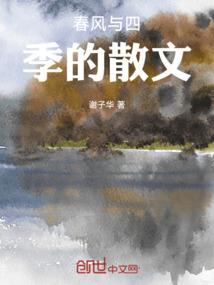 守护甜心之回忆的梦