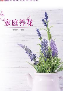 韩宗门
