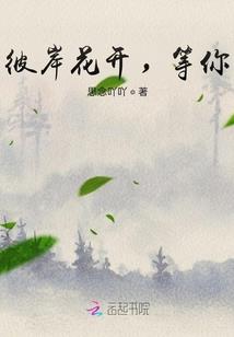 九凤王朝