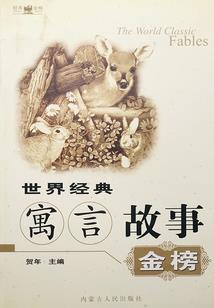 圣杯观测者