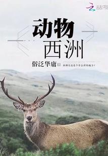 海贼，我墨菲特不是白胡子私生子