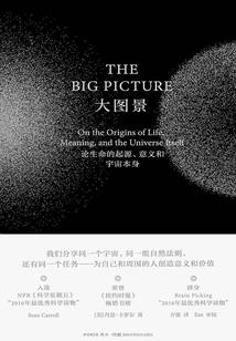 情挑极品总裁